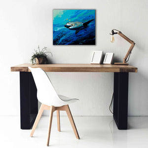 'The Mighty Bull Shark' by Jace D McTier, Giclee Canvas Wall Art,24 x 20