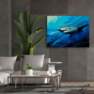 'The Mighty Bull Shark' by Jace D McTier, Giclee Canvas Wall Art,54 x 40