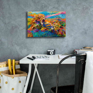 'Pride Fight in the Savanna African Lions' by Jace D McTier, Giclee Canvas Wall Art,18 x 12