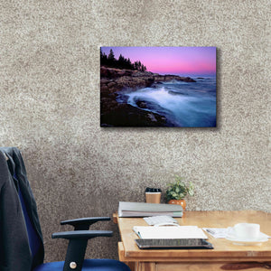 'Acadia Dusk' by Mike Jones, Giclee Canvas Wall Art,24 x 20