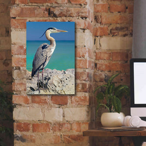 'Blue Heron' by Mike Jones, Giclee Canvas Wall Art,12 x 18