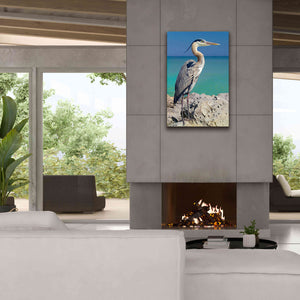 'Blue Heron' by Mike Jones, Giclee Canvas Wall Art,26 x 40