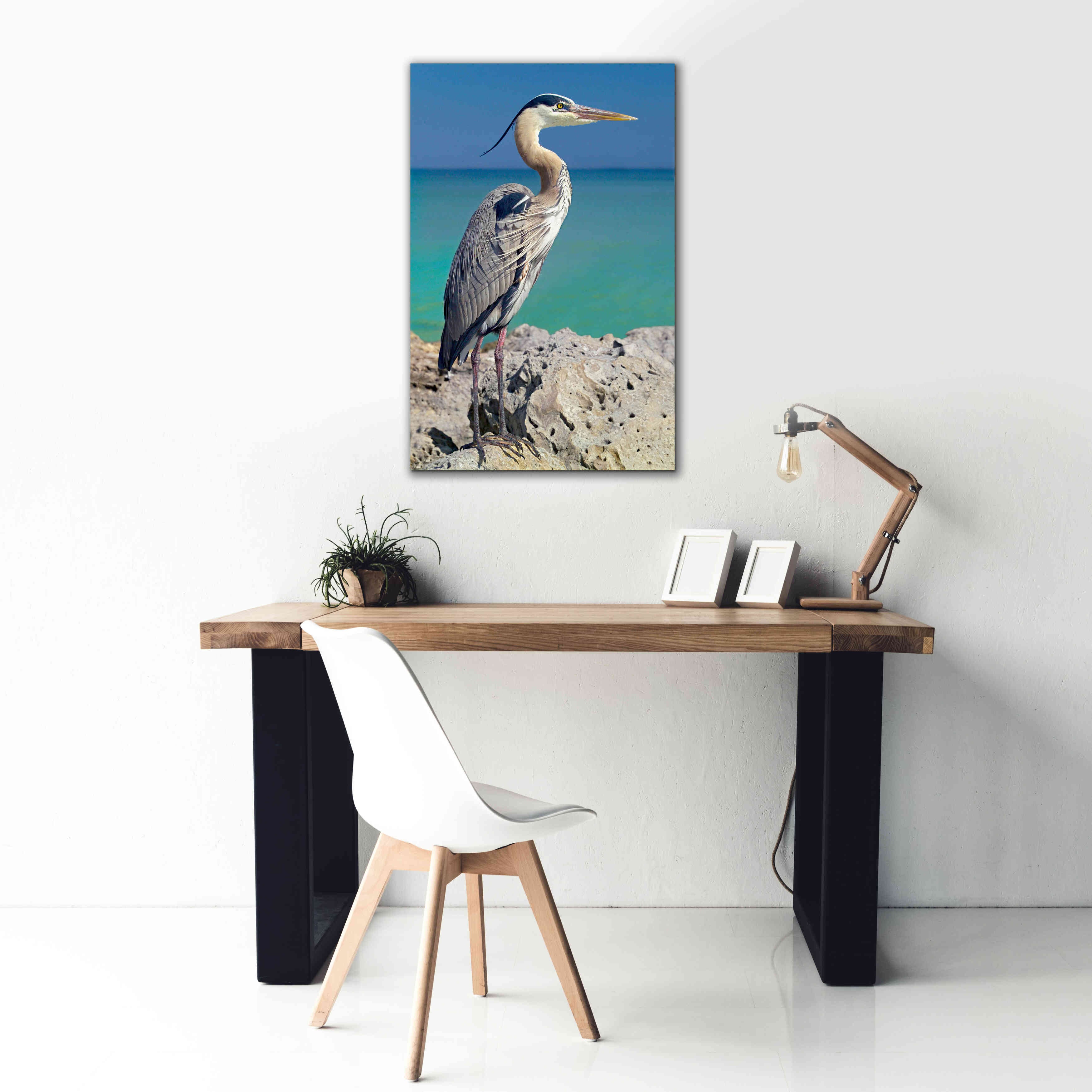 'Blue Heron' by Mike Jones, Giclee Canvas Wall Art,26 x 40