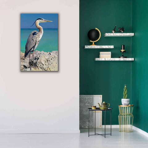 Image of 'Blue Heron' by Mike Jones, Giclee Canvas Wall Art,26 x 40