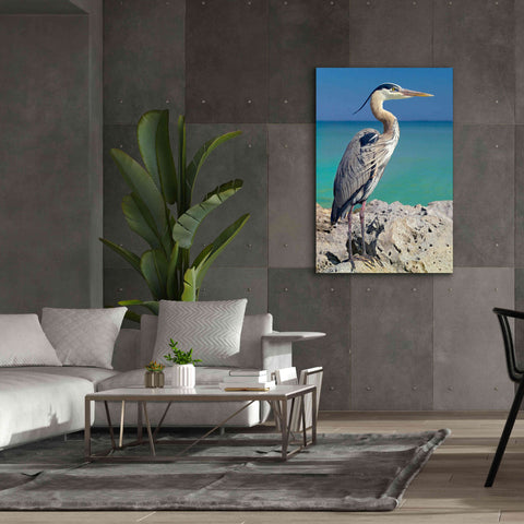 Image of 'Blue Heron' by Mike Jones, Giclee Canvas Wall Art,40 x 60