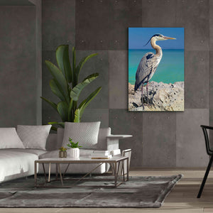 'Blue Heron' by Mike Jones, Giclee Canvas Wall Art,40 x 60
