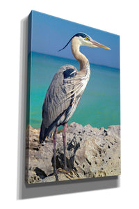 'Blue Heron' by Mike Jones, Giclee Canvas Wall Art