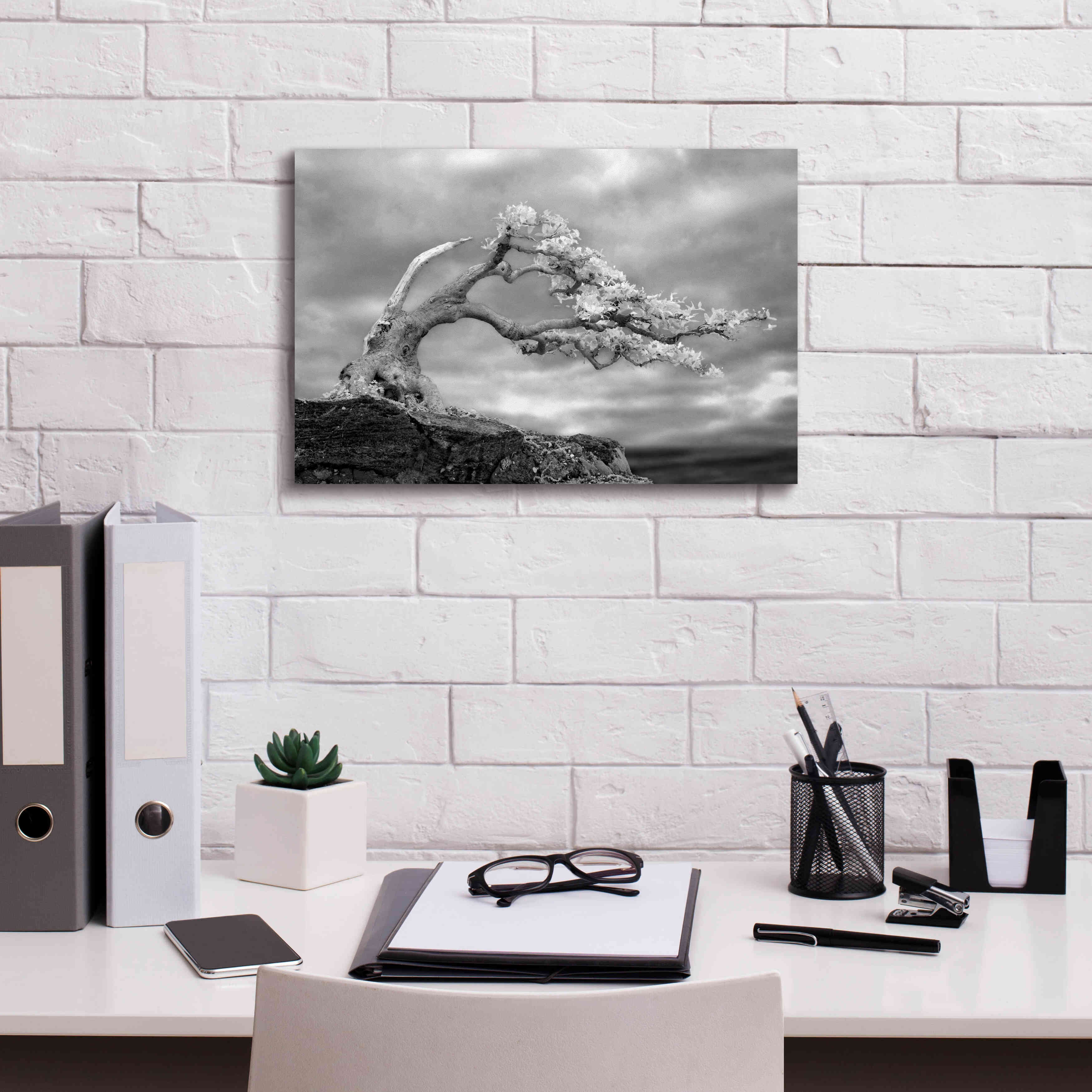 'Bonzai' by Mike Jones, Giclee Canvas Wall Art,18 x 12