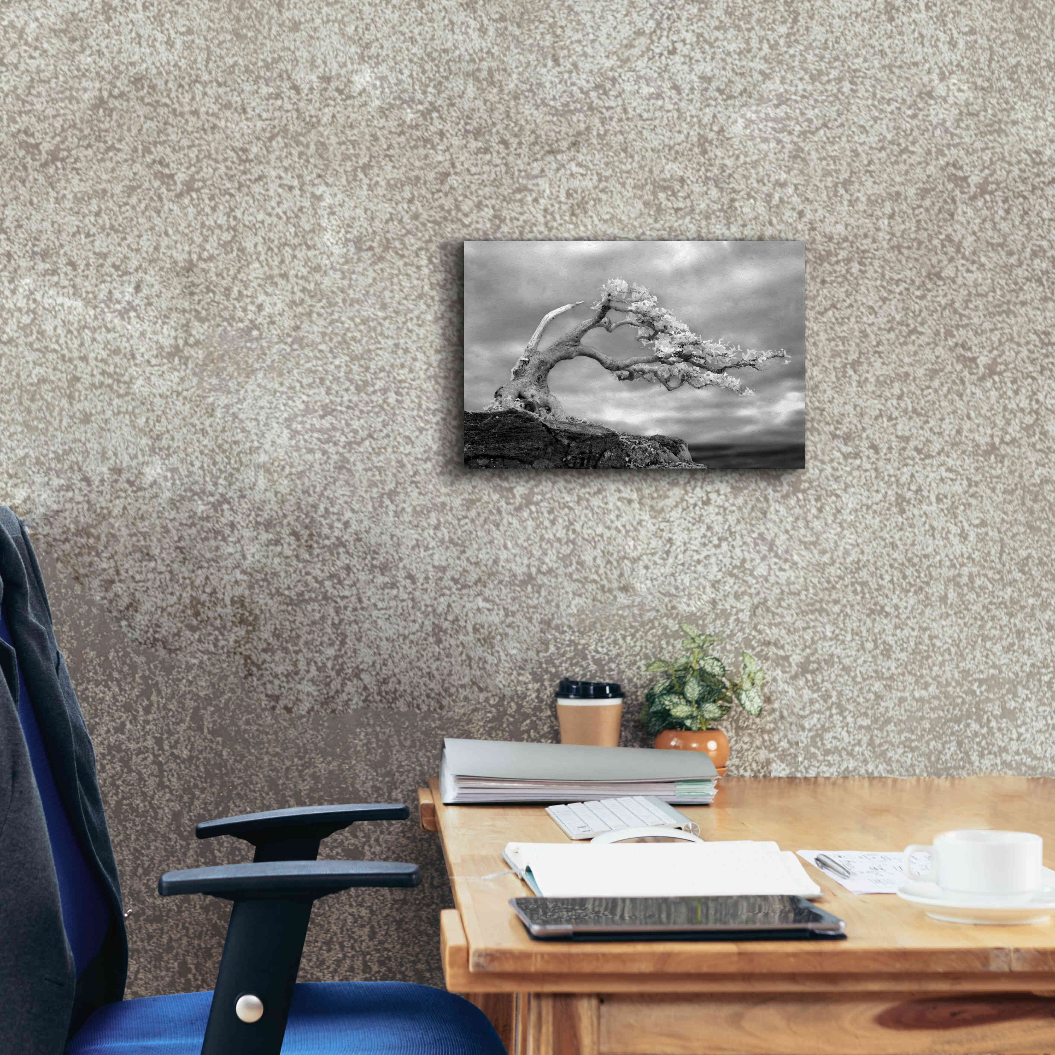 'Bonzai' by Mike Jones, Giclee Canvas Wall Art,18 x 12