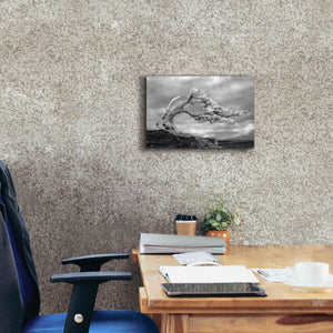 'Bonzai' by Mike Jones, Giclee Canvas Wall Art,18 x 12