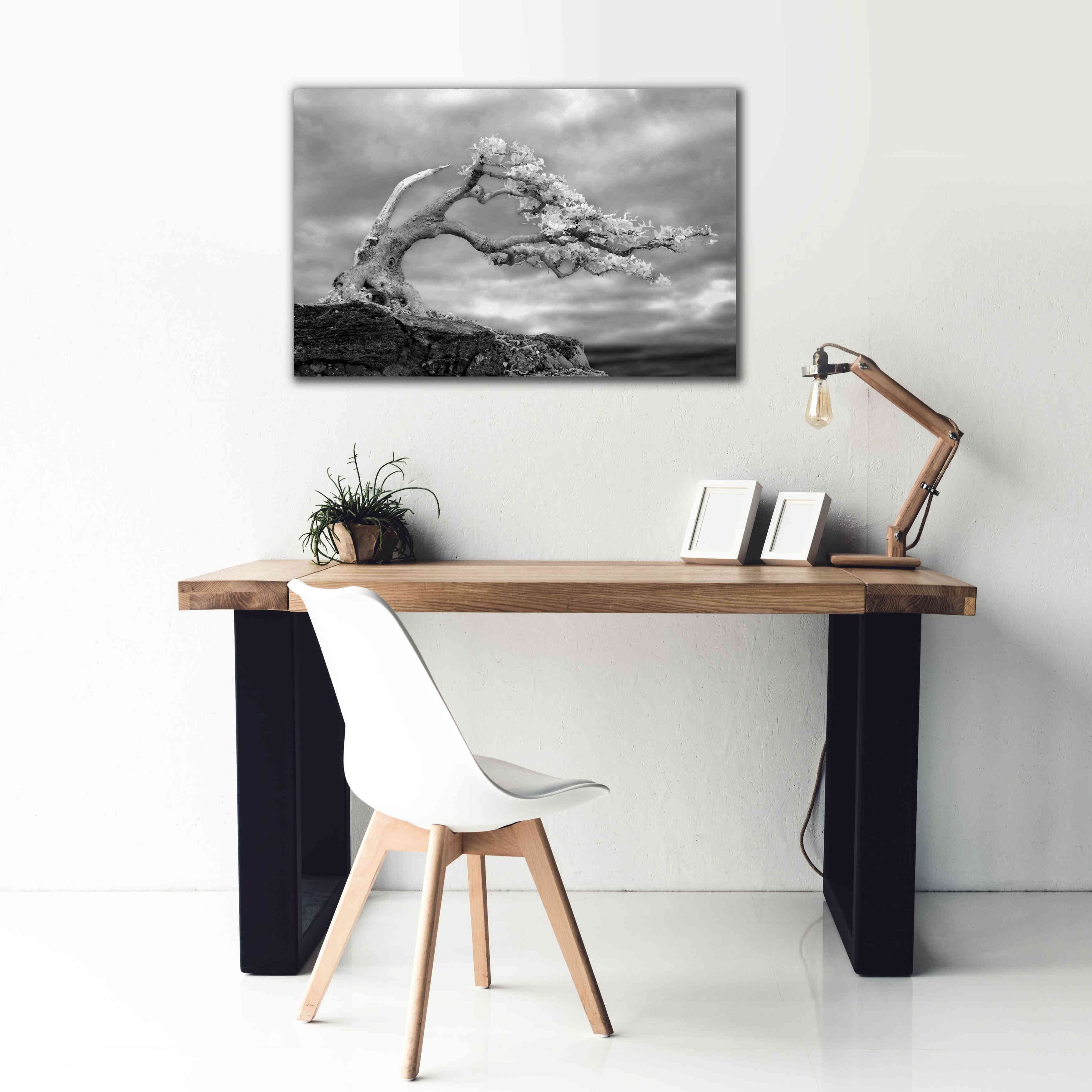 'Bonzai' by Mike Jones, Giclee Canvas Wall Art,40 x 26