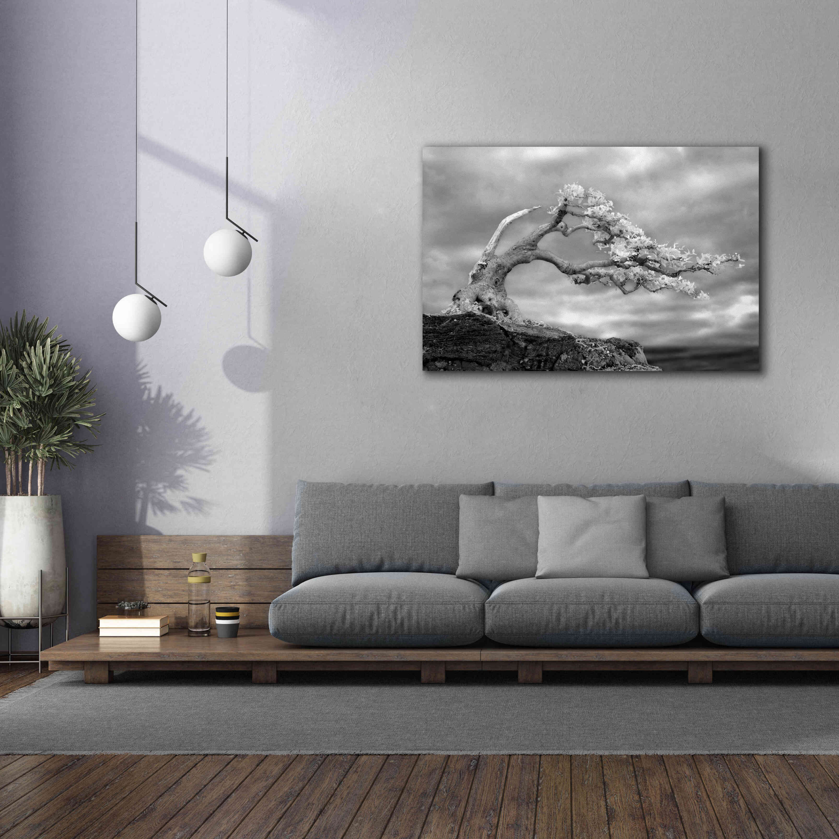 'Bonzai' by Mike Jones, Giclee Canvas Wall Art,60 x 40