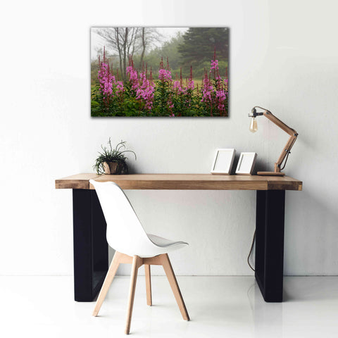 Image of 'Campobello Lupine' by Mike Jones, Giclee Canvas Wall Art,40 x 26