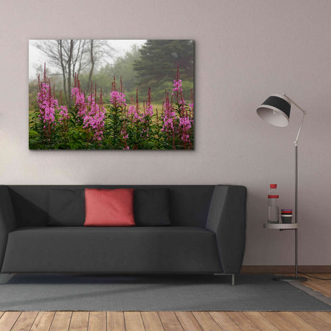 Image of 'Campobello Lupine' by Mike Jones, Giclee Canvas Wall Art,60 x 40