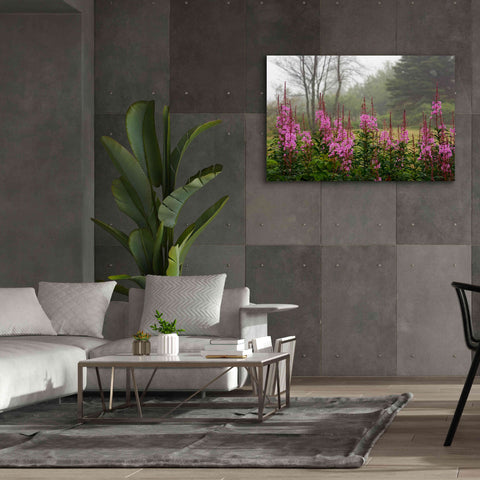 Image of 'Campobello Lupine' by Mike Jones, Giclee Canvas Wall Art,60 x 40