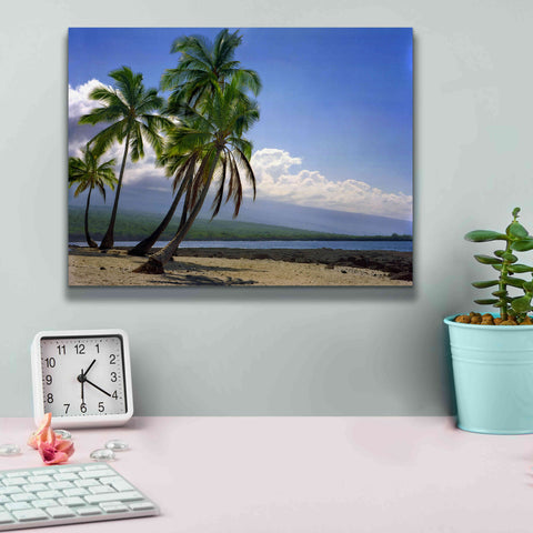 Image of 'City Of Refuge' by Mike Jones, Giclee Canvas Wall Art,16 x 12