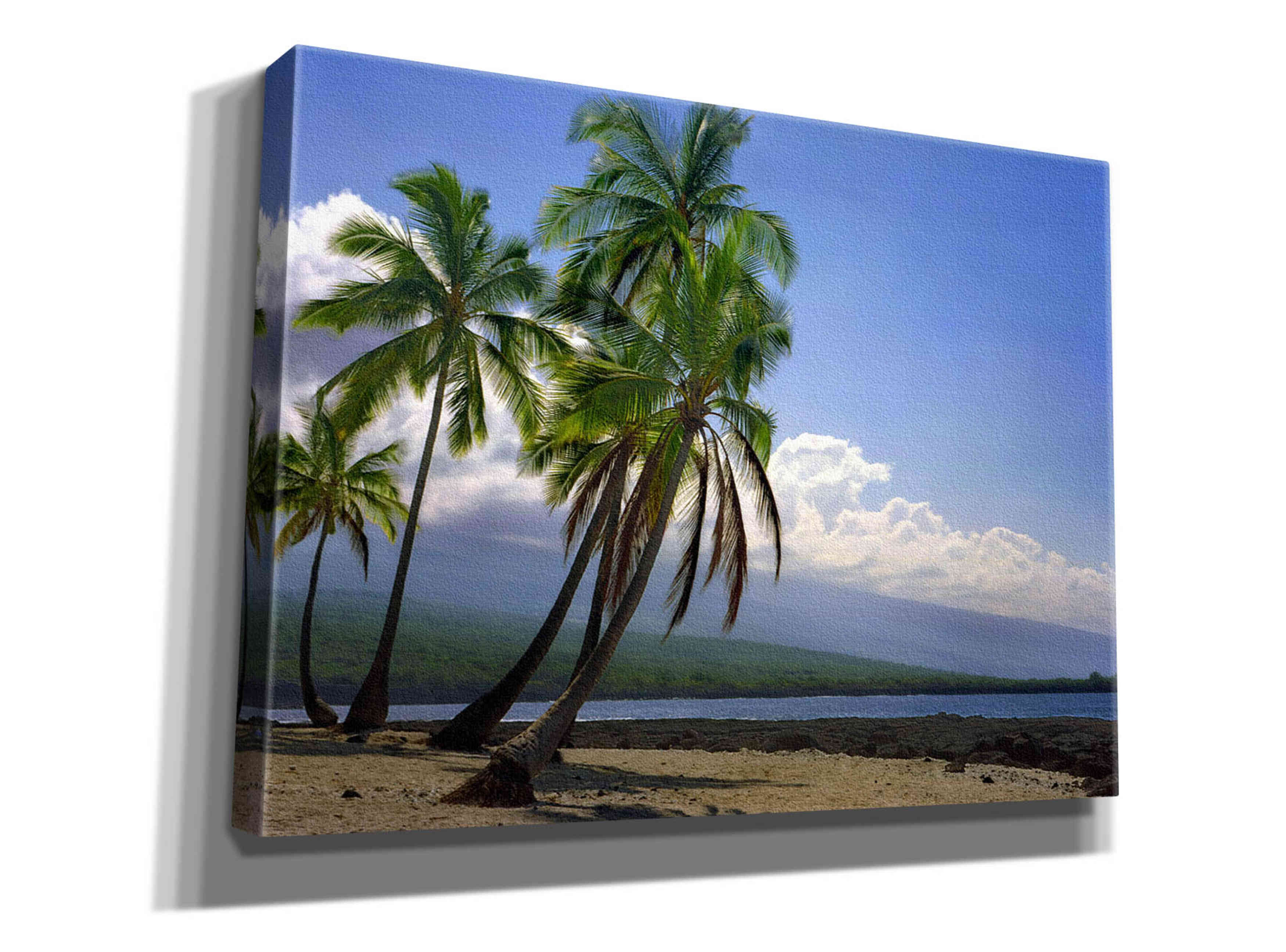'City Of Refuge' by Mike Jones, Giclee Canvas Wall Art