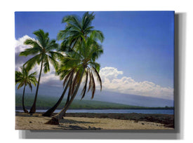 'City Of Refuge' by Mike Jones, Giclee Canvas Wall Art