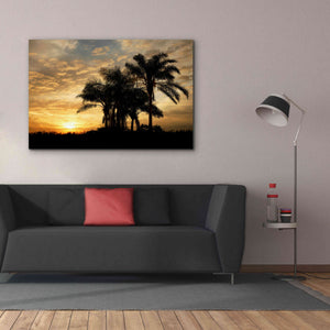 'Everglades Sunrise' by Mike Jones, Giclee Canvas Wall Art,60 x 40