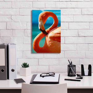 'Flamingo' by Mike Jones, Giclee Canvas Wall Art,12 x 18