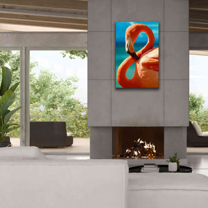 'Flamingo' by Mike Jones, Giclee Canvas Wall Art,26 x 40