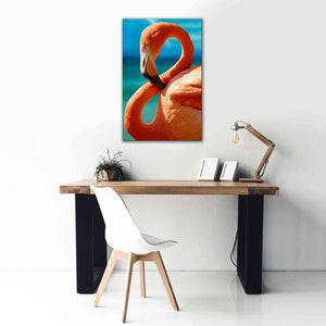 'Flamingo' by Mike Jones, Giclee Canvas Wall Art,26 x 40