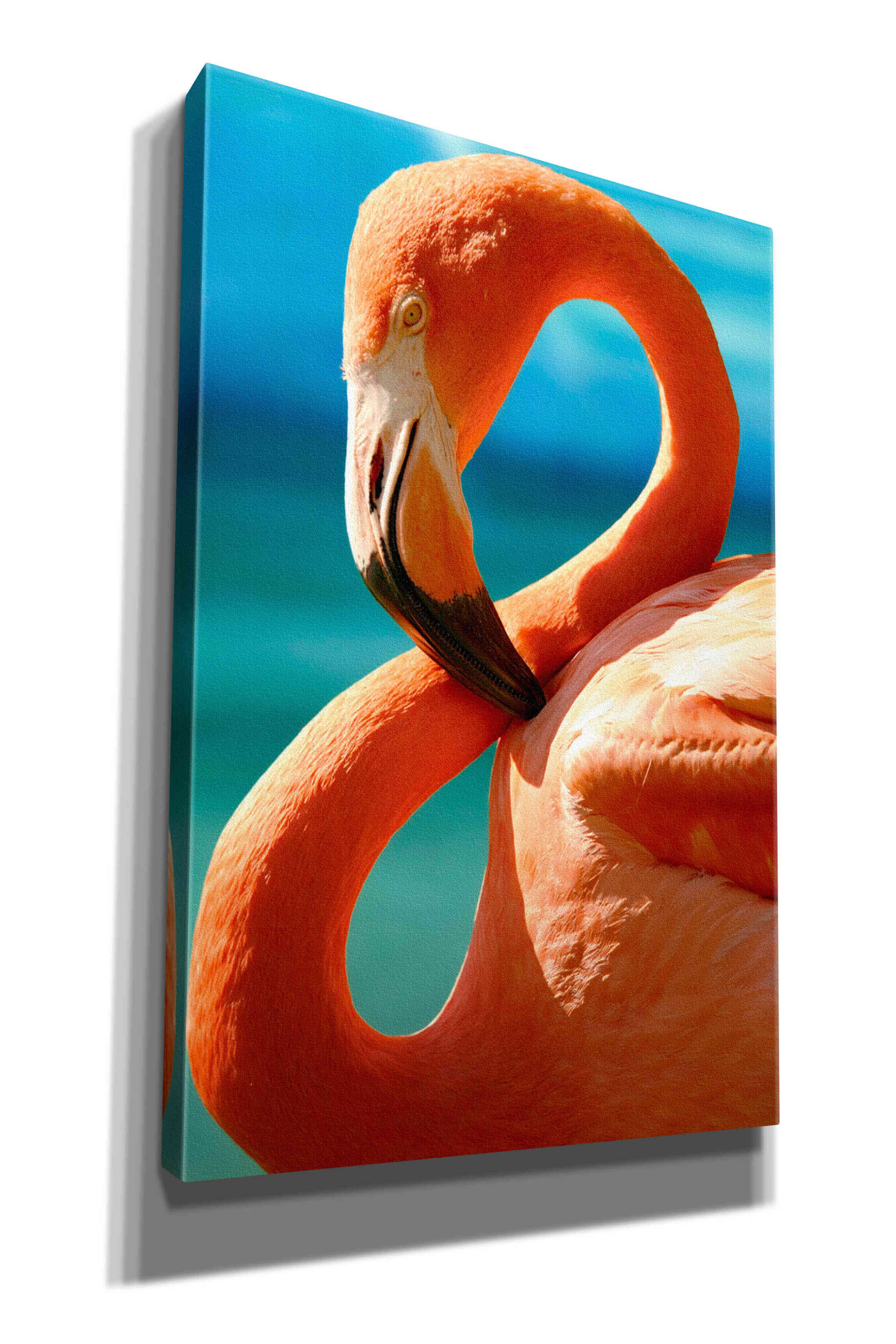 'Flamingo' by Mike Jones, Giclee Canvas Wall Art