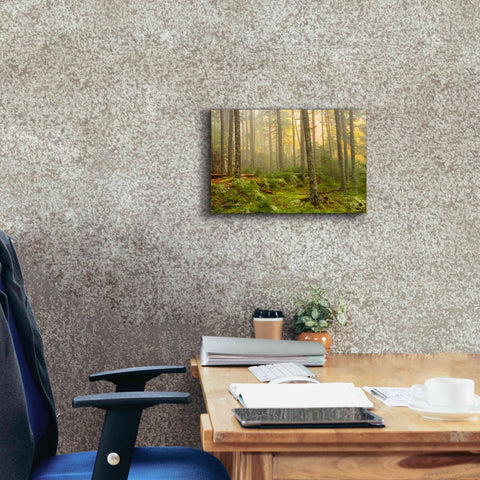 Image of 'Foggy Fire Woods' by Mike Jones, Giclee Canvas Wall Art,18 x 12