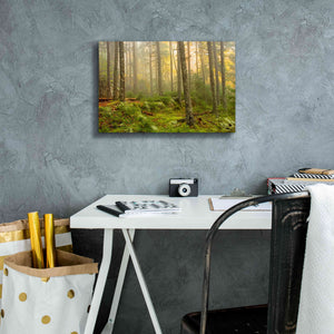 'Foggy Fire Woods' by Mike Jones, Giclee Canvas Wall Art,18 x 12