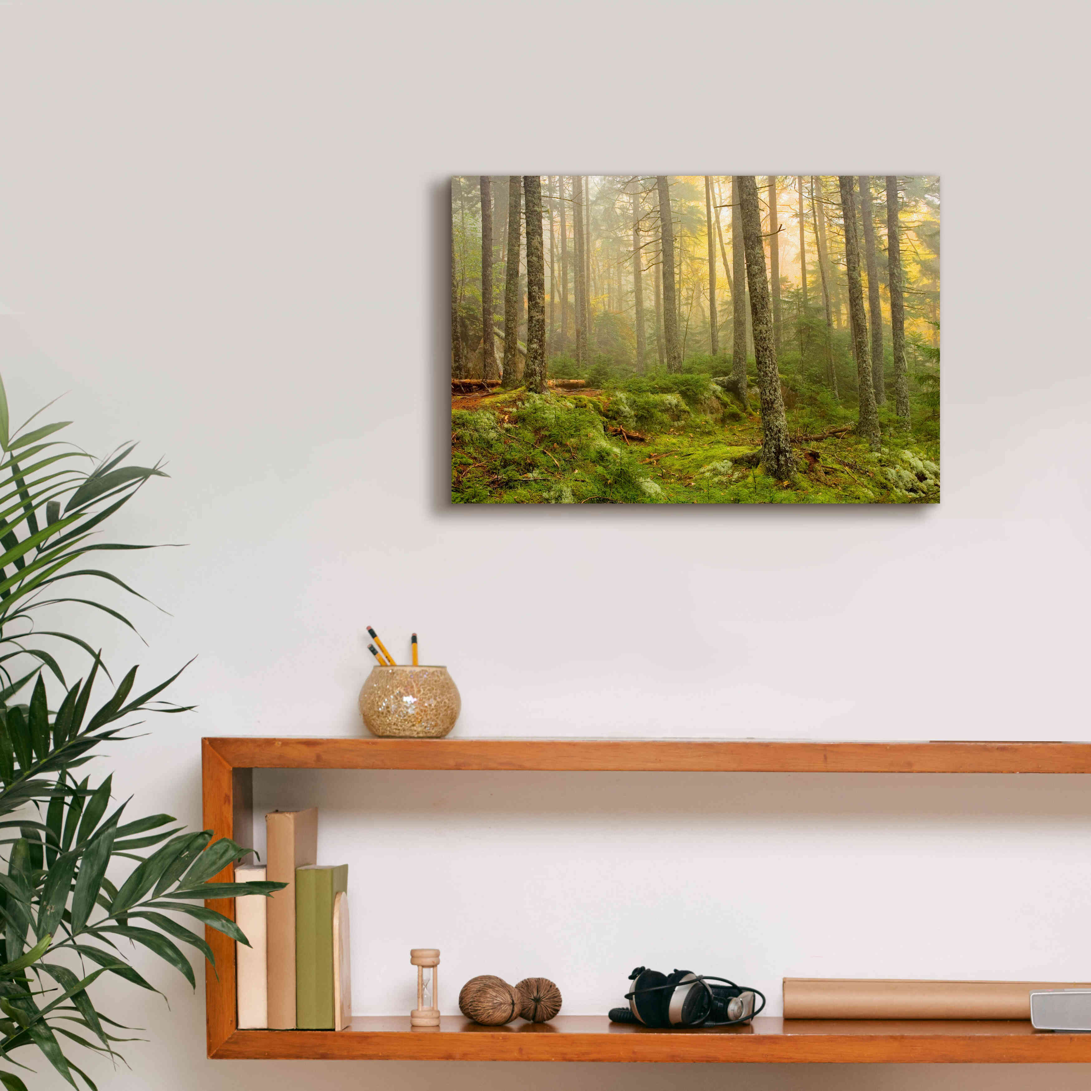 'Foggy Fire Woods' by Mike Jones, Giclee Canvas Wall Art,18 x 12