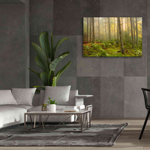 'Foggy Fire Woods' by Mike Jones, Giclee Canvas Wall Art,60 x 40
