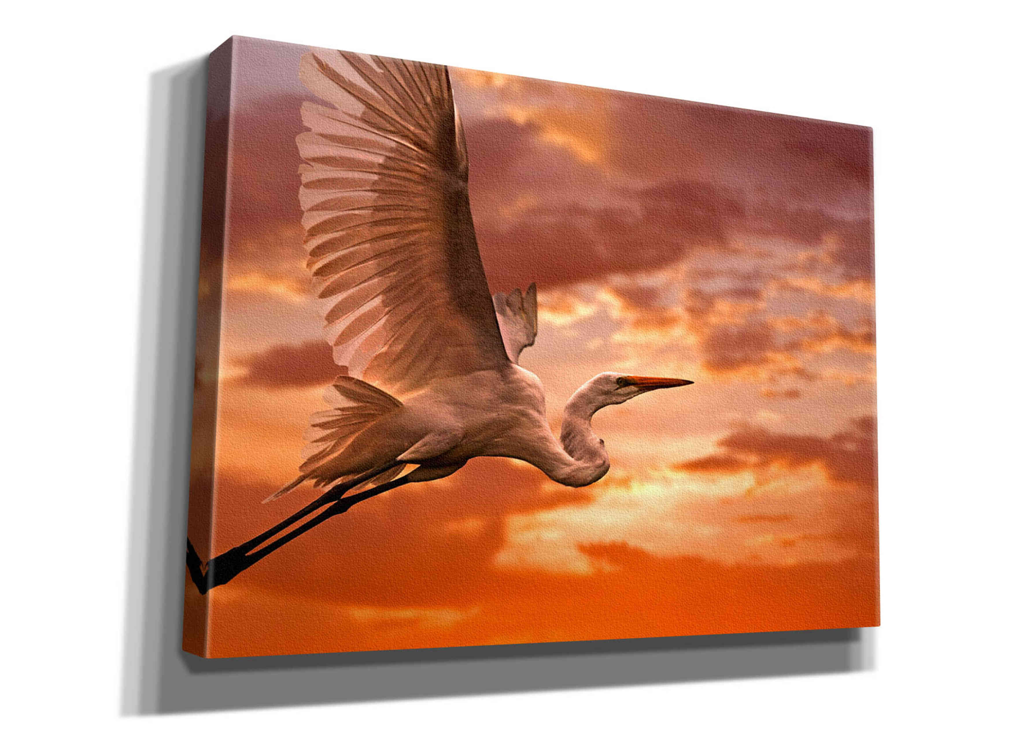 'Heron Sunset' by Mike Jones, Giclee Canvas Wall Art