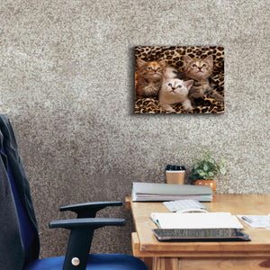 'Kittens' by Mike Jones, Giclee Canvas Wall Art,16 x 12