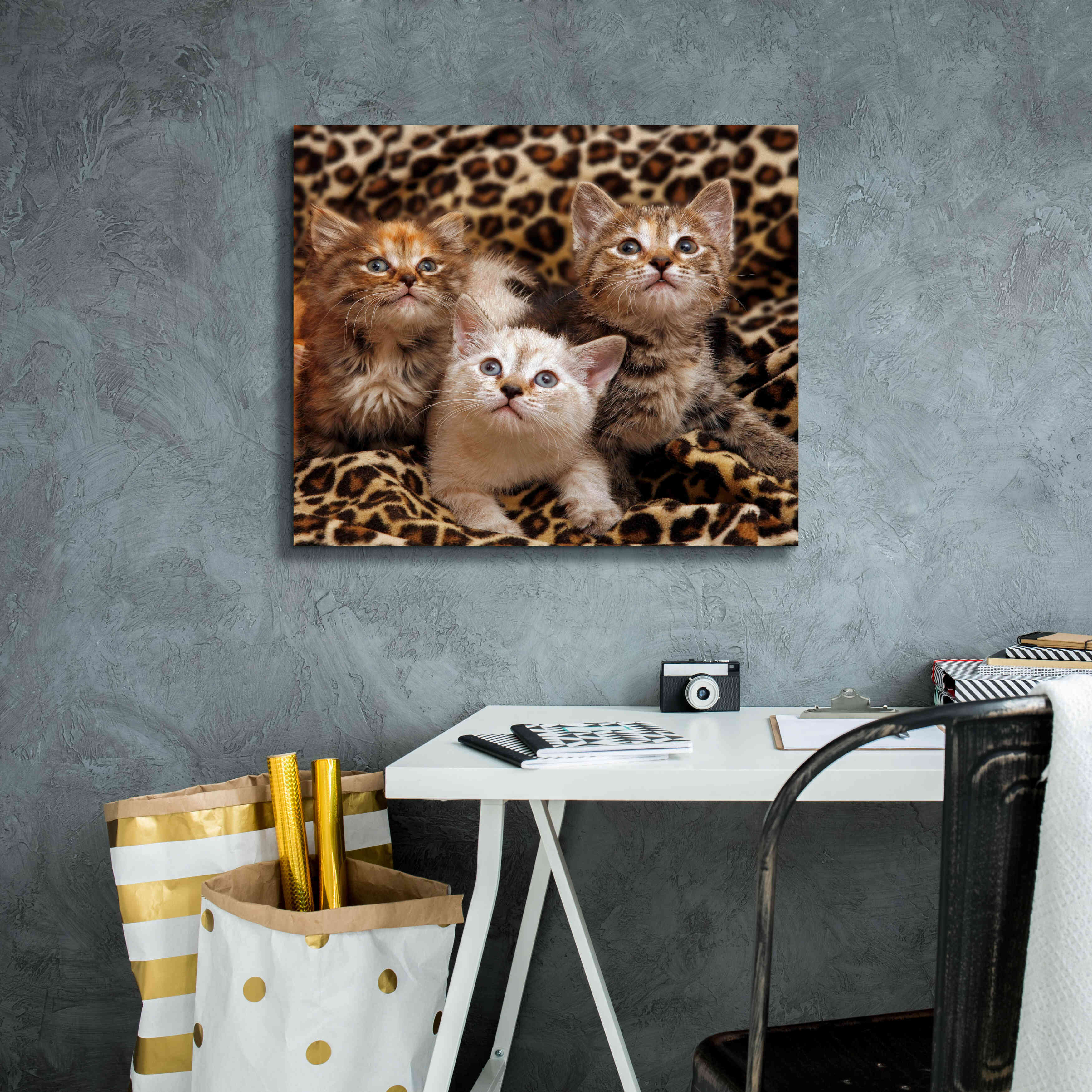 'Kittens' by Mike Jones, Giclee Canvas Wall Art,24 x 20