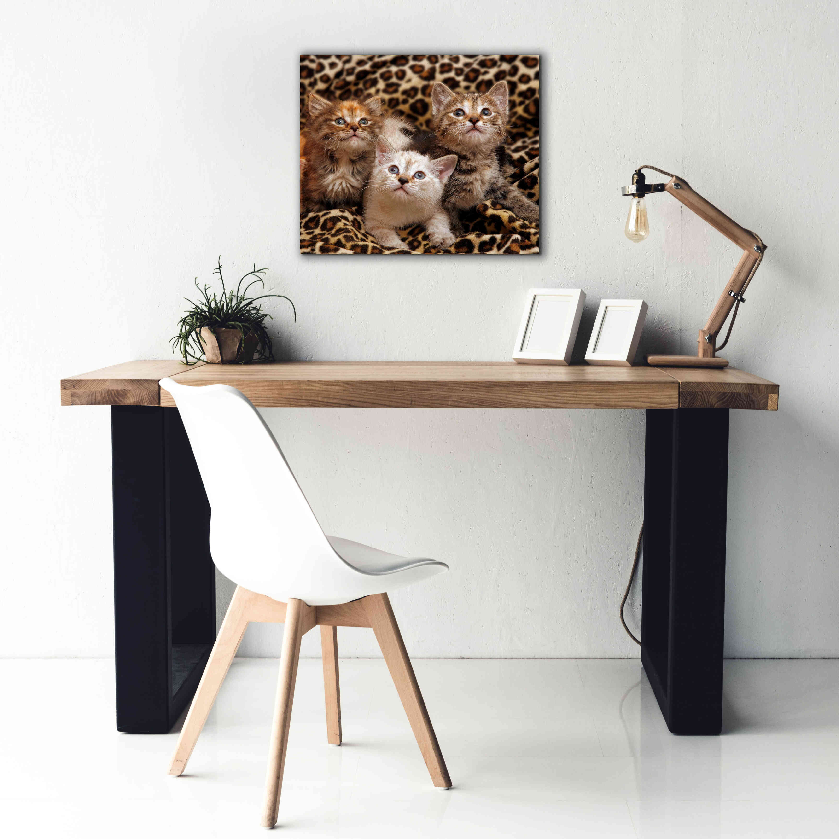 'Kittens' by Mike Jones, Giclee Canvas Wall Art,24 x 20
