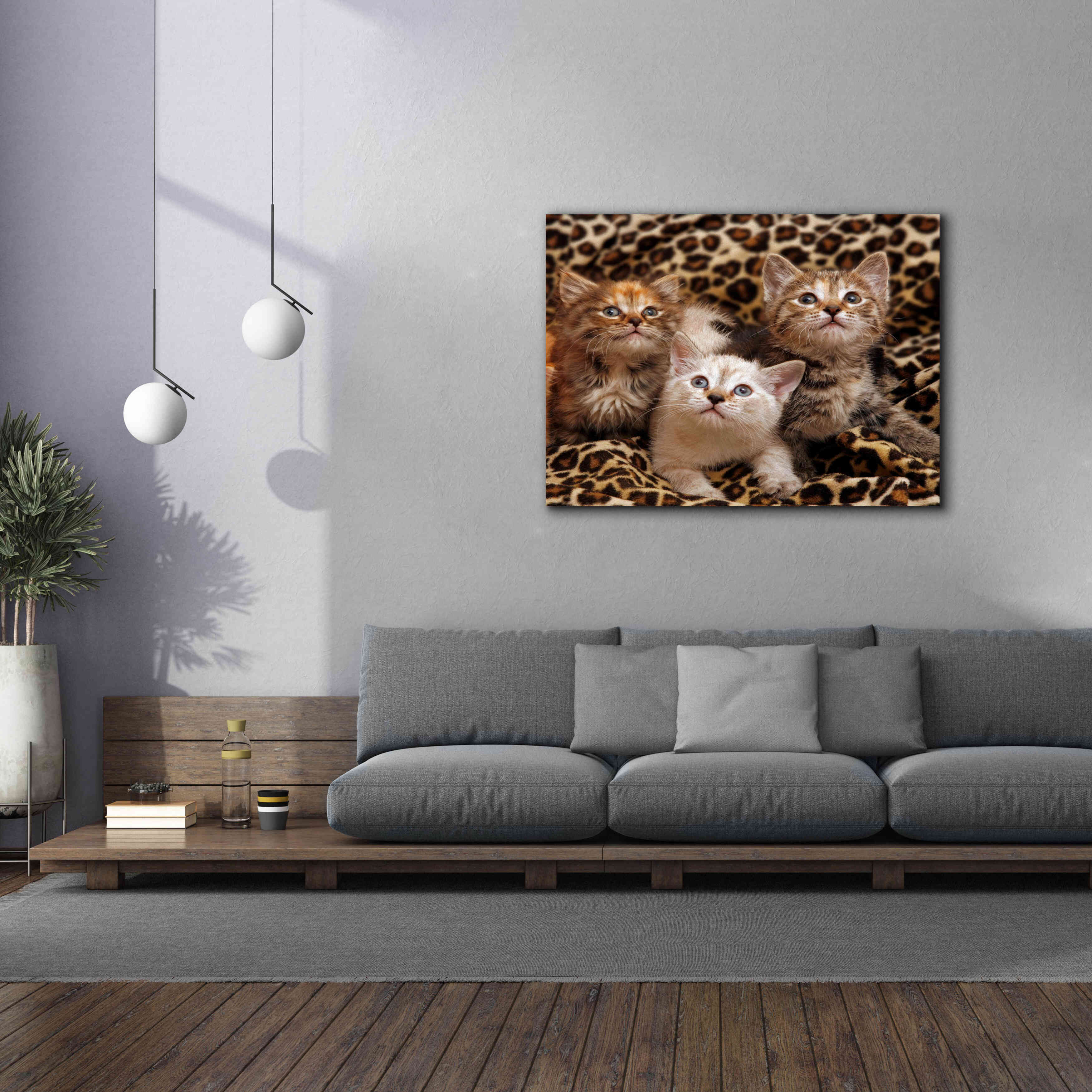 'Kittens' by Mike Jones, Giclee Canvas Wall Art,54 x 40