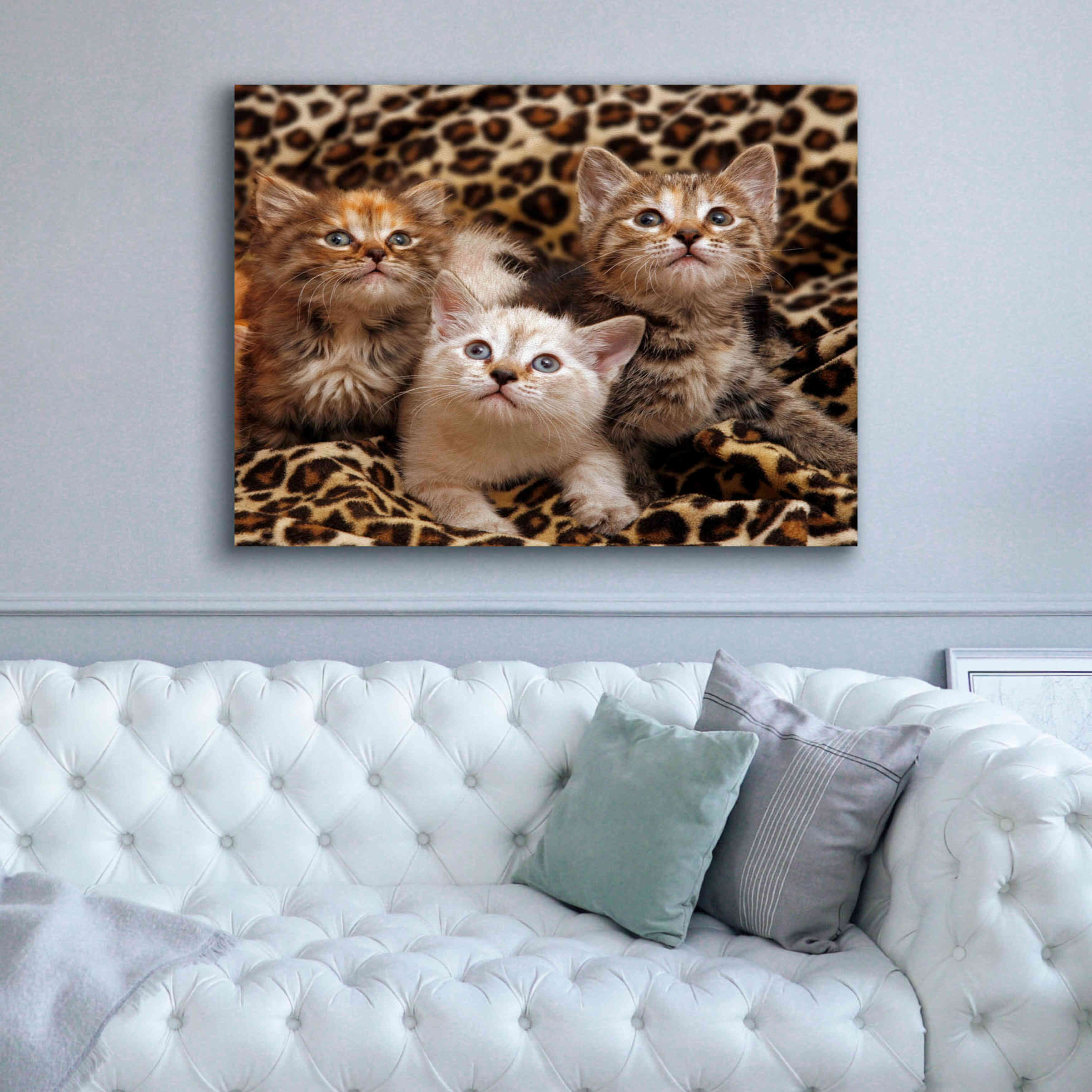 'Kittens' by Mike Jones, Giclee Canvas Wall Art,54 x 40