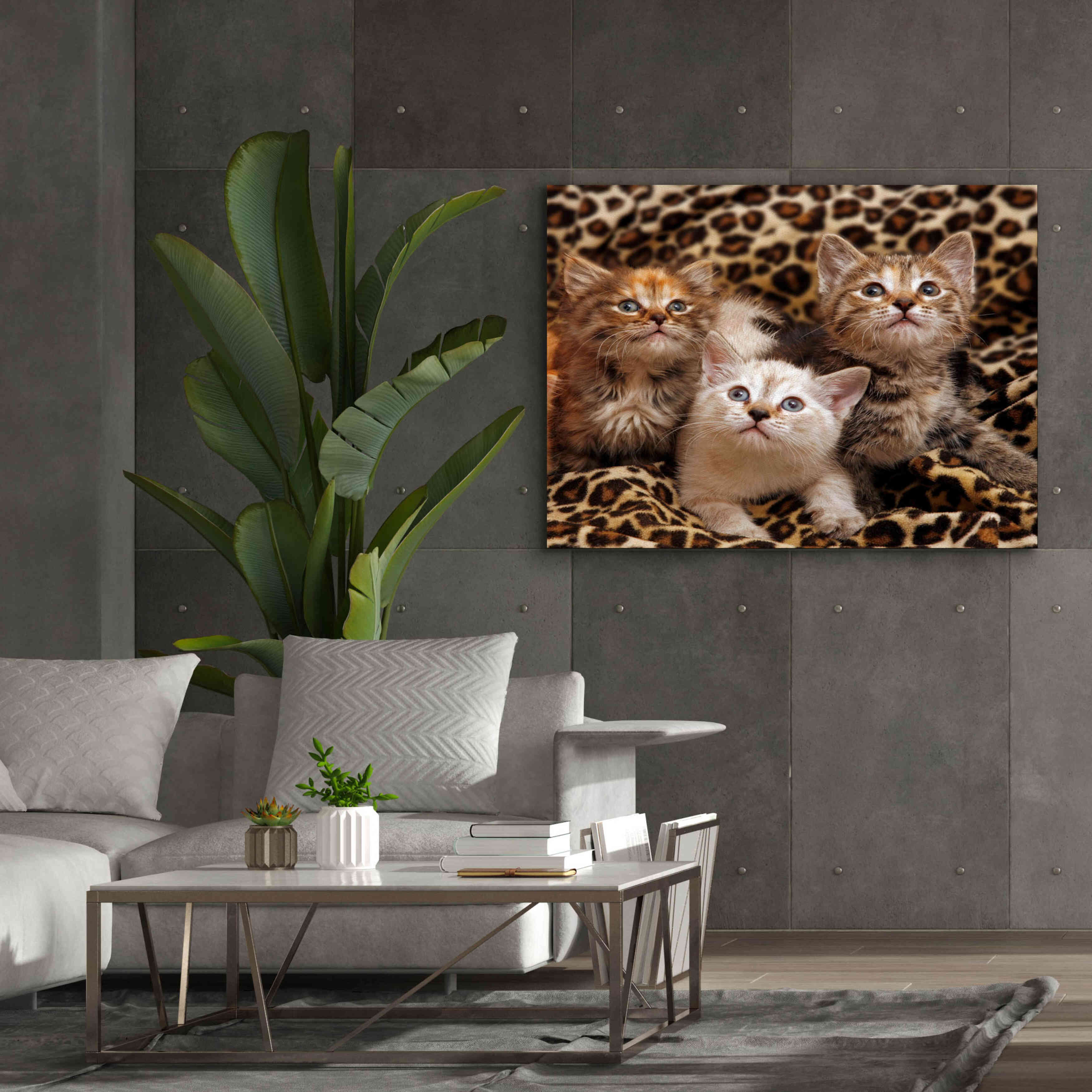 'Kittens' by Mike Jones, Giclee Canvas Wall Art,54 x 40