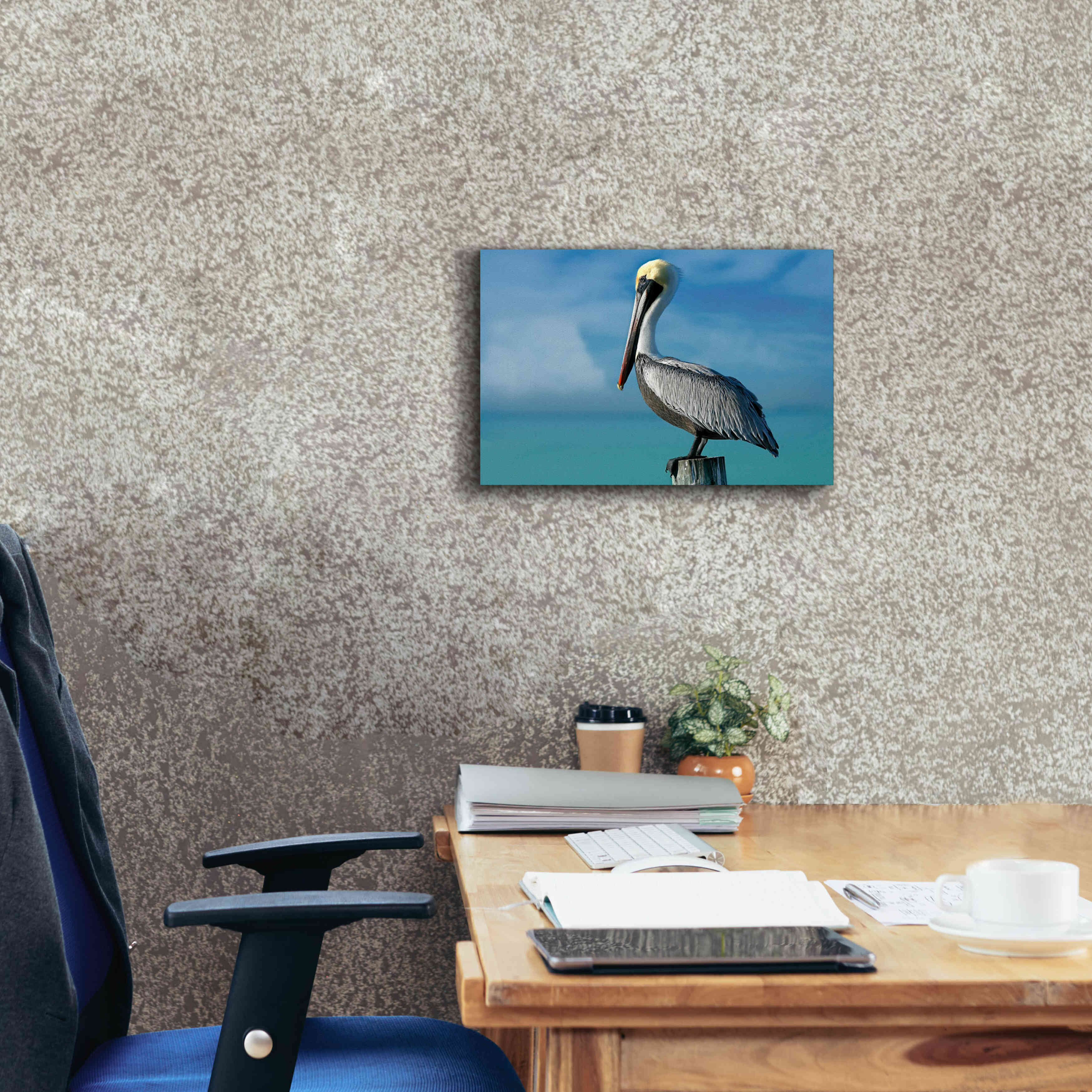 'Pelican' by Mike Jones, Giclee Canvas Wall Art,18 x 12