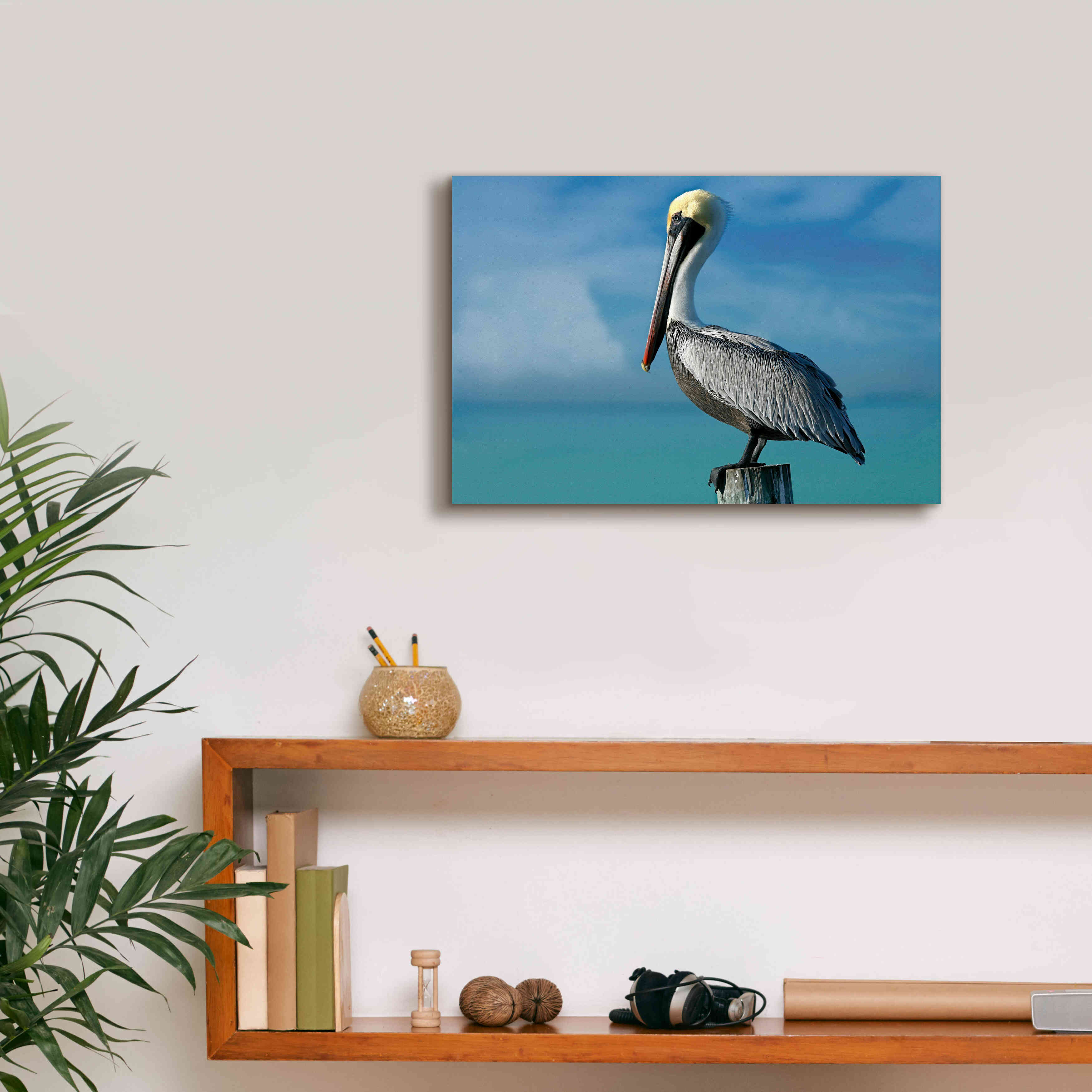 'Pelican' by Mike Jones, Giclee Canvas Wall Art,18 x 12