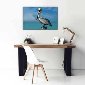 'Pelican' by Mike Jones, Giclee Canvas Wall Art,40 x 26