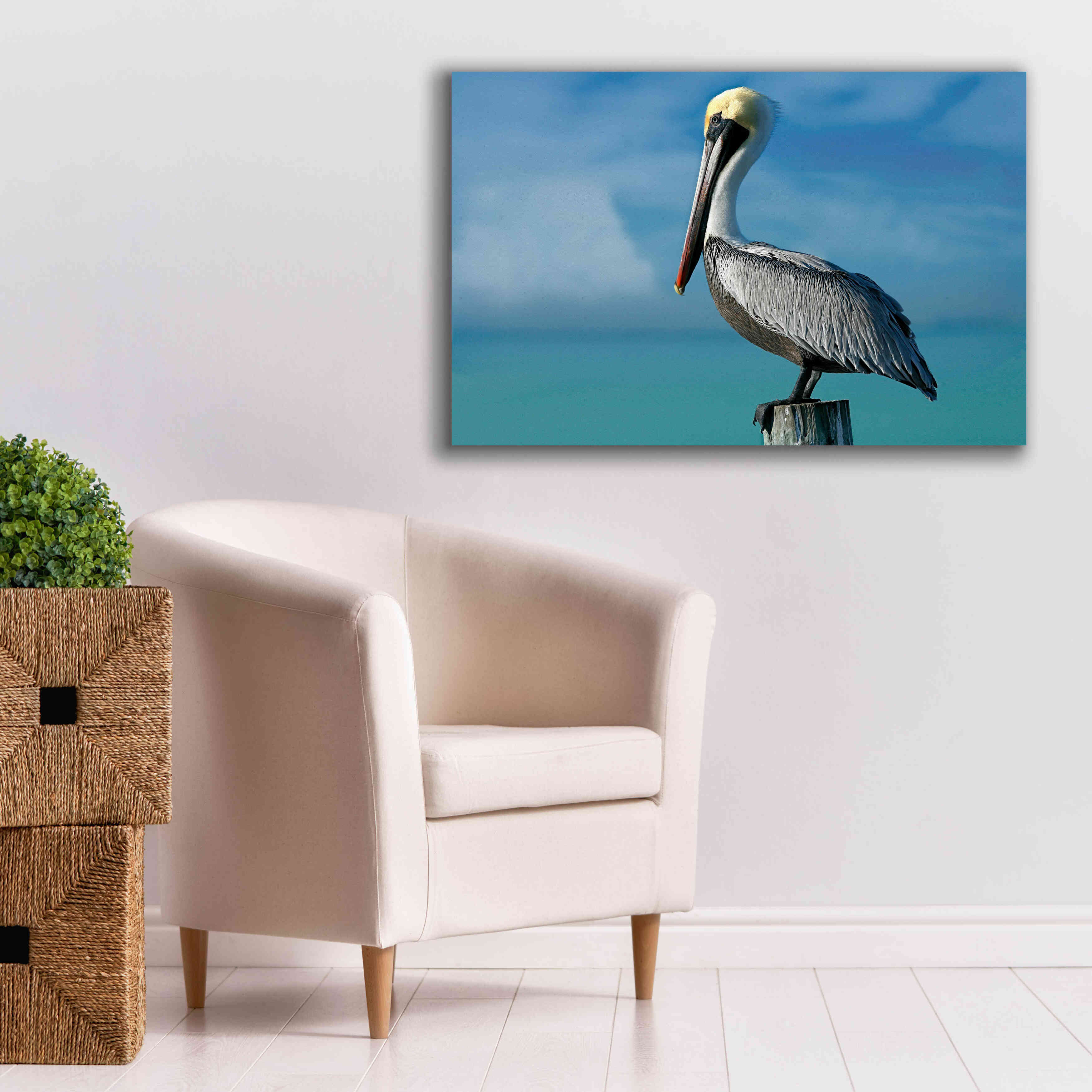 'Pelican' by Mike Jones, Giclee Canvas Wall Art,40 x 26