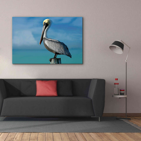 Image of 'Pelican' by Mike Jones, Giclee Canvas Wall Art,60 x 40