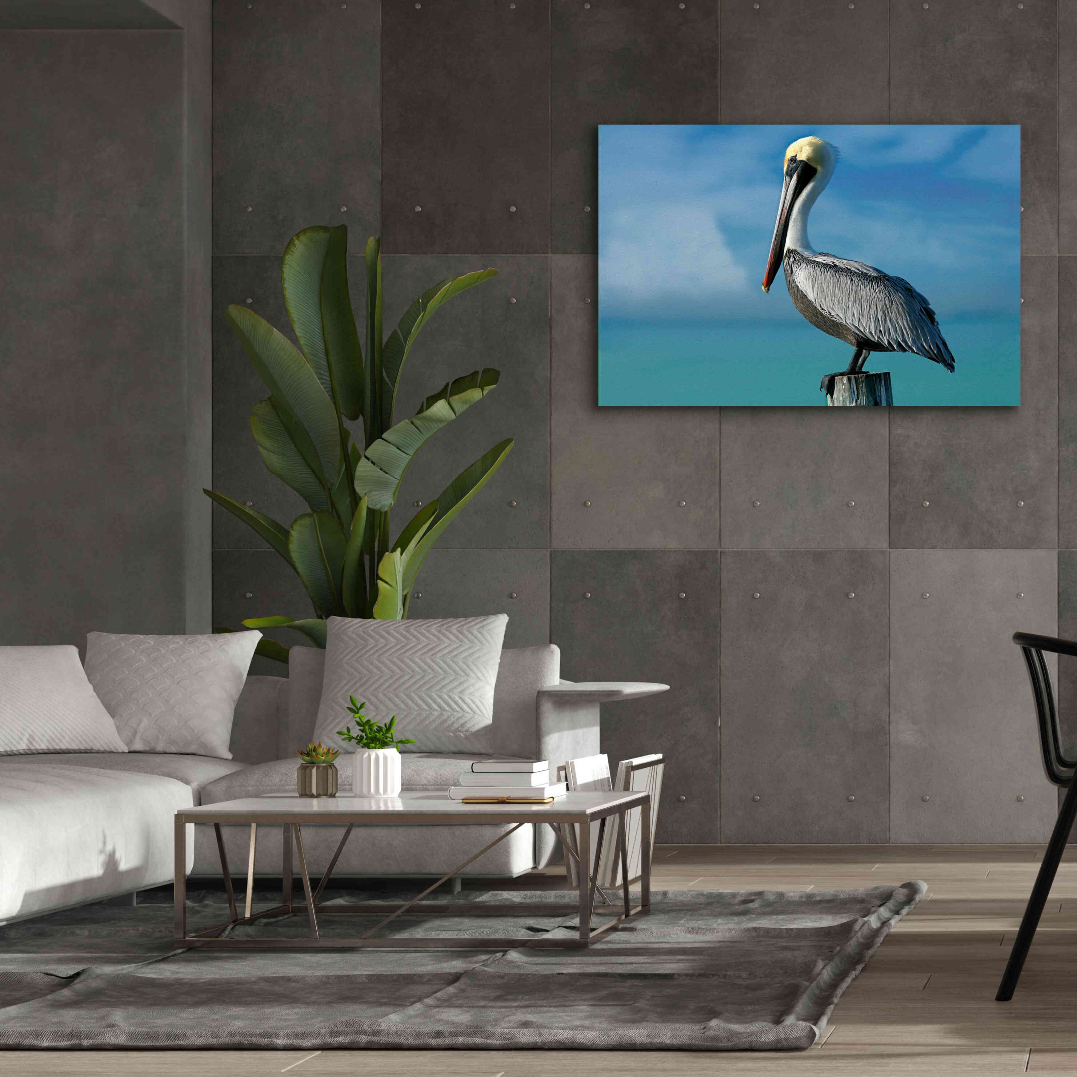 'Pelican' by Mike Jones, Giclee Canvas Wall Art,60 x 40