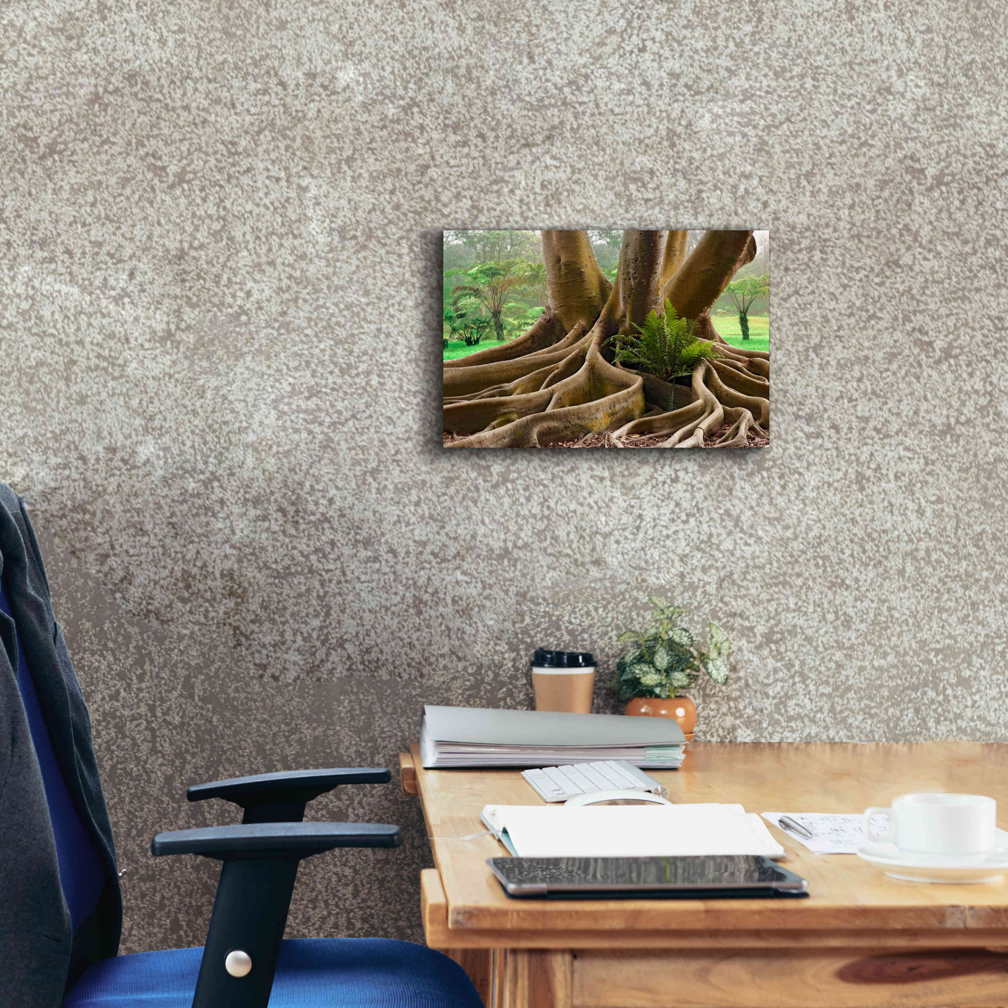 'Roots Sarasots Big Tree' by Mike Jones, Giclee Canvas Wall Art,18 x 12