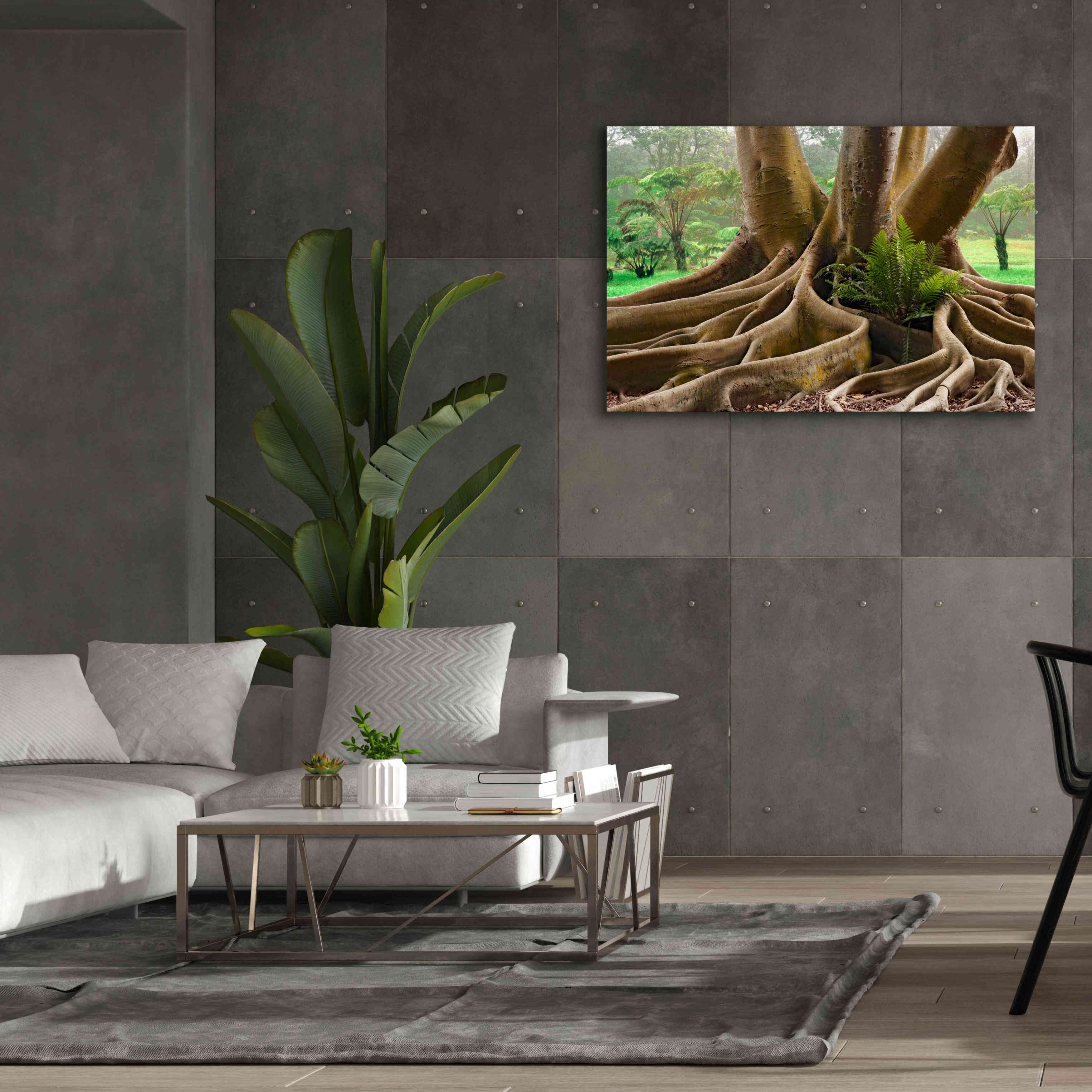 'Roots Sarasots Big Tree' by Mike Jones, Giclee Canvas Wall Art,60 x 40