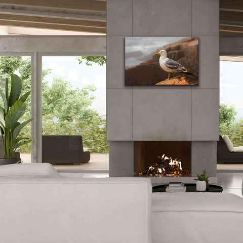Image of 'Seagull' by Mike Jones, Giclee Canvas Wall Art,40 x 26
