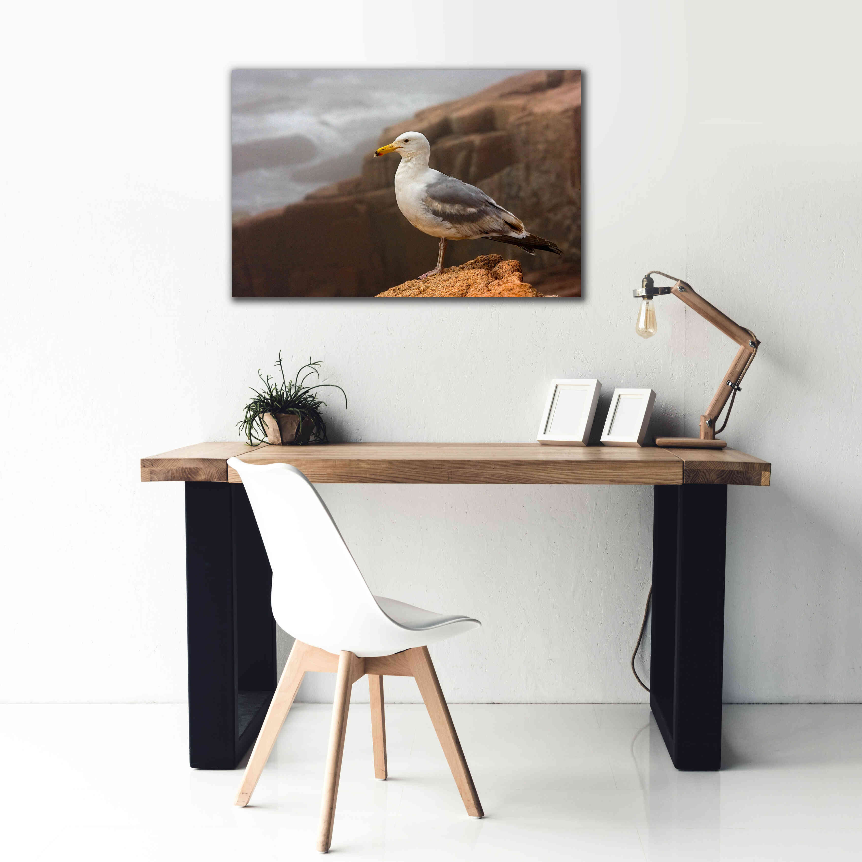 'Seagull' by Mike Jones, Giclee Canvas Wall Art,40 x 26