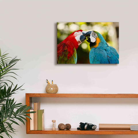 Image of 'The Kiss' by Mike Jones, Giclee Canvas Wall Art,18 x 12