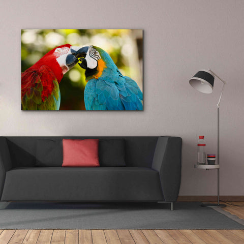 Image of 'The Kiss' by Mike Jones, Giclee Canvas Wall Art,60 x 40